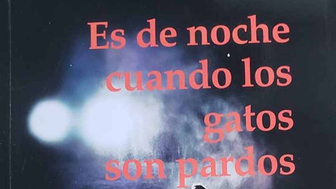 Es de noche cuando los gatos son pardos