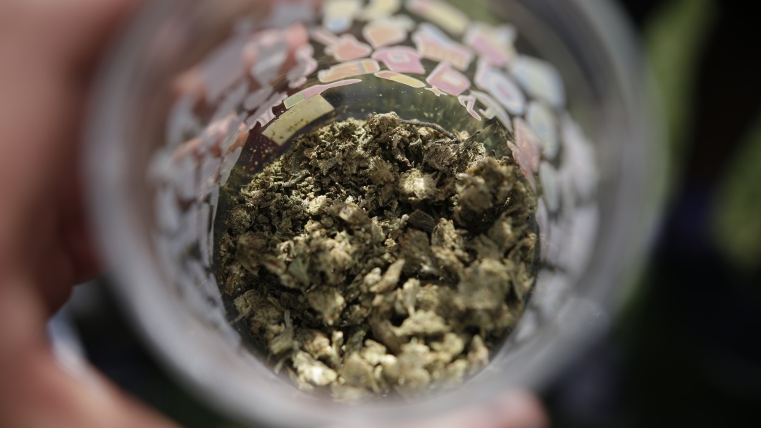 Hallan camufladas en arroz 400.000 dosis de marihuana en vía Bogotá-Tunja