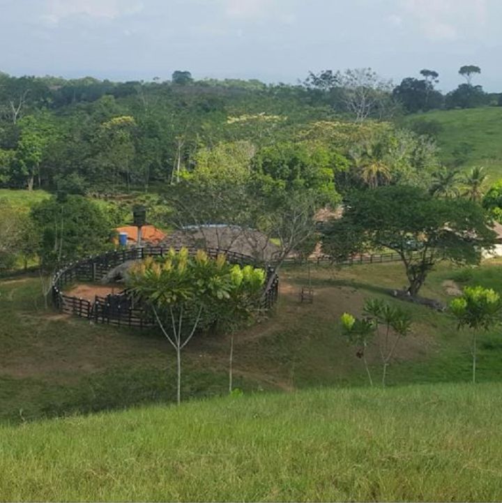 Incautan bienes por 7 mil millones al alcalde de Barbosa, Antioquia