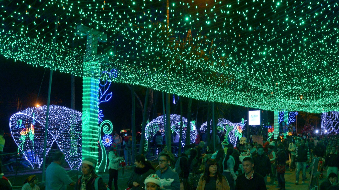 El plan familiar en Diciembre, son los shows musicales de Cantar Y Vivir