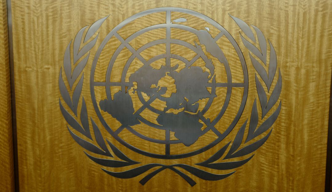Organización de las Naciones Unidas: ONU pide liberación inmediata de los 59 colombianos detenidos en Caracas