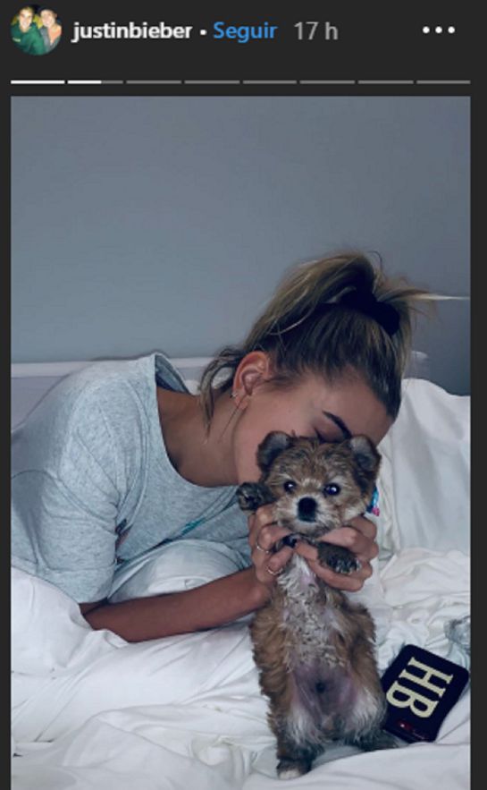 Justin y Hailey Bieber presentaron al nuevo integrante de su familia Justin y Hailey Bieber presentaron al nuevo integrante de su familia