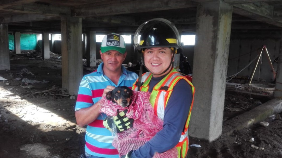 Bomberos, Armenia rescatan perro que cayó a una alcantarilla.