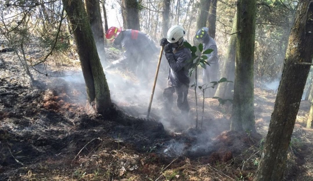 INCENDIOS, FENÓMENO EL NIÑO, DAGRED: 13 incendios durante fenómeno El Niño en Medellín