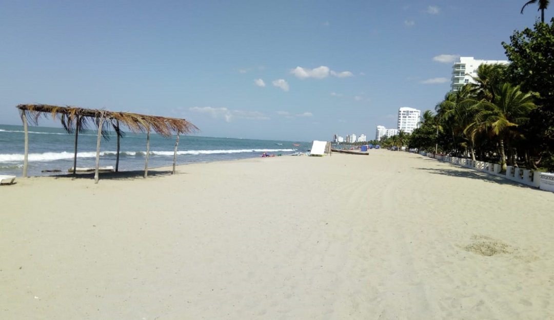 Vuelve a fallar maniobra de captura de un caimán en playa de Coveñas