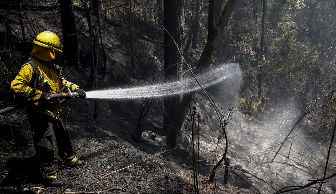 Imagen de referencia de Incendios