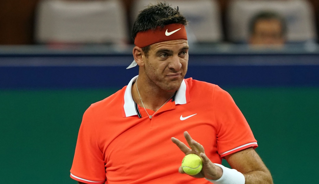 Juan Martin Del potro Abierto de Australia: Juan Martin Del Potro confirmó que no podrá jugar el Abierto de Australia