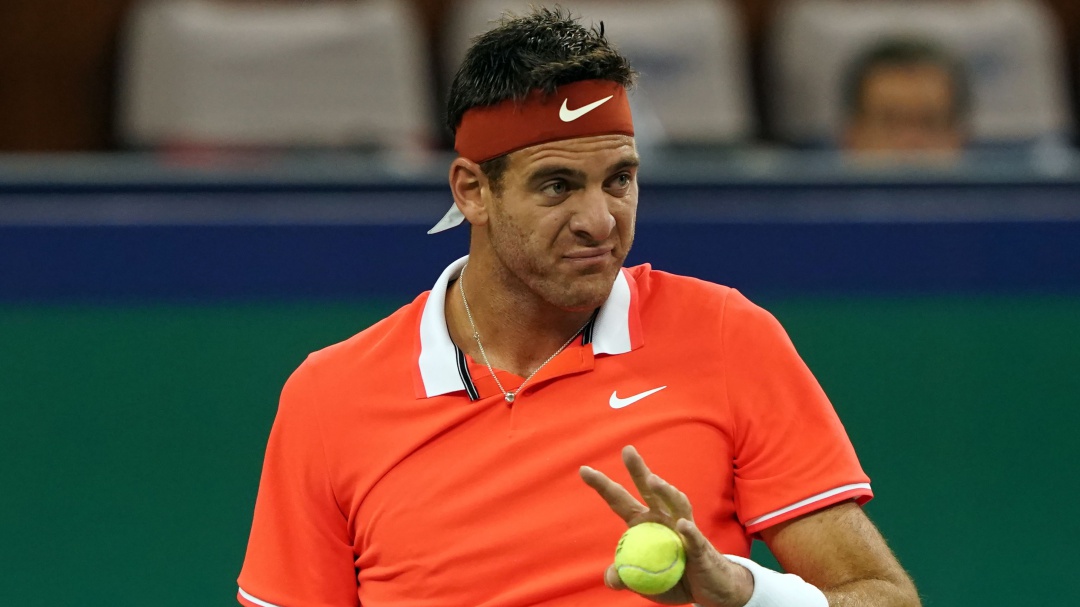 Juan Martin Del Potro confirmó que no podrá jugar el Abierto de Australia