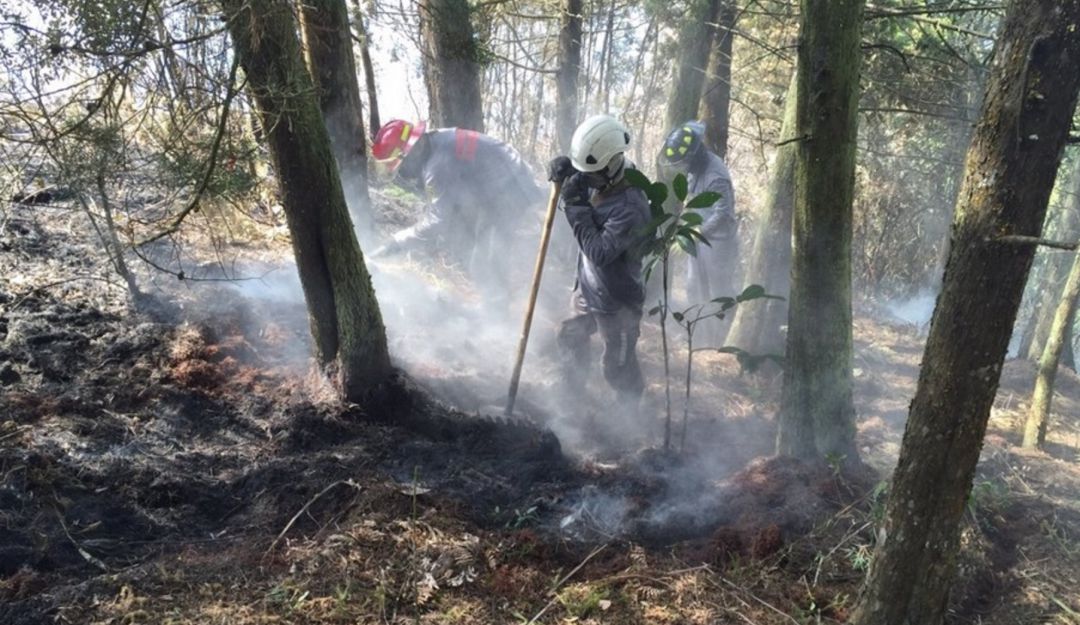 INCENDIOS, MEDELLIN, FOSTESTALES, EMERGENCIAS, BOMBEROS: Tres incendios forestales reportó Medellín durante la tarde del 2 de enero