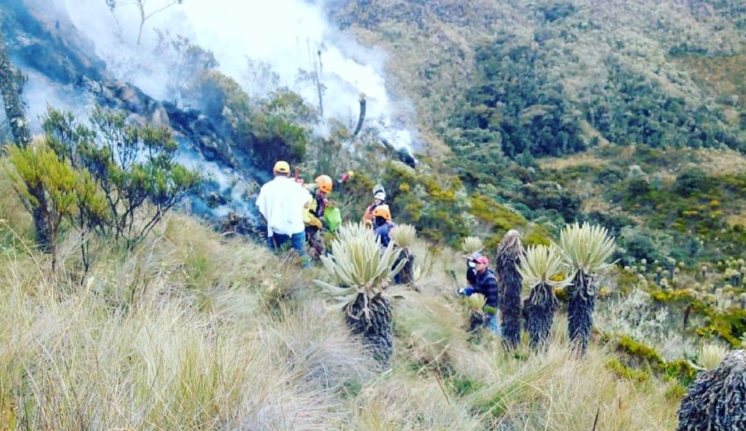incendio forestal Tolima.: Controlado incendio forestal en Anzoátegui, Tolima