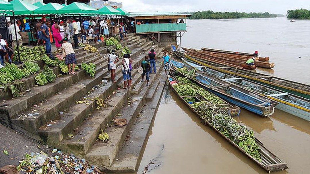 La minería ilegal tiene deprimido el agro en Chocó