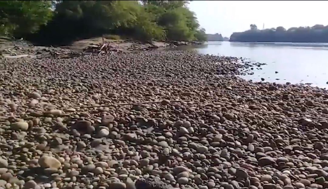sequía río sogamoso en Santander: La sequía también se apodero del río Sogamoso