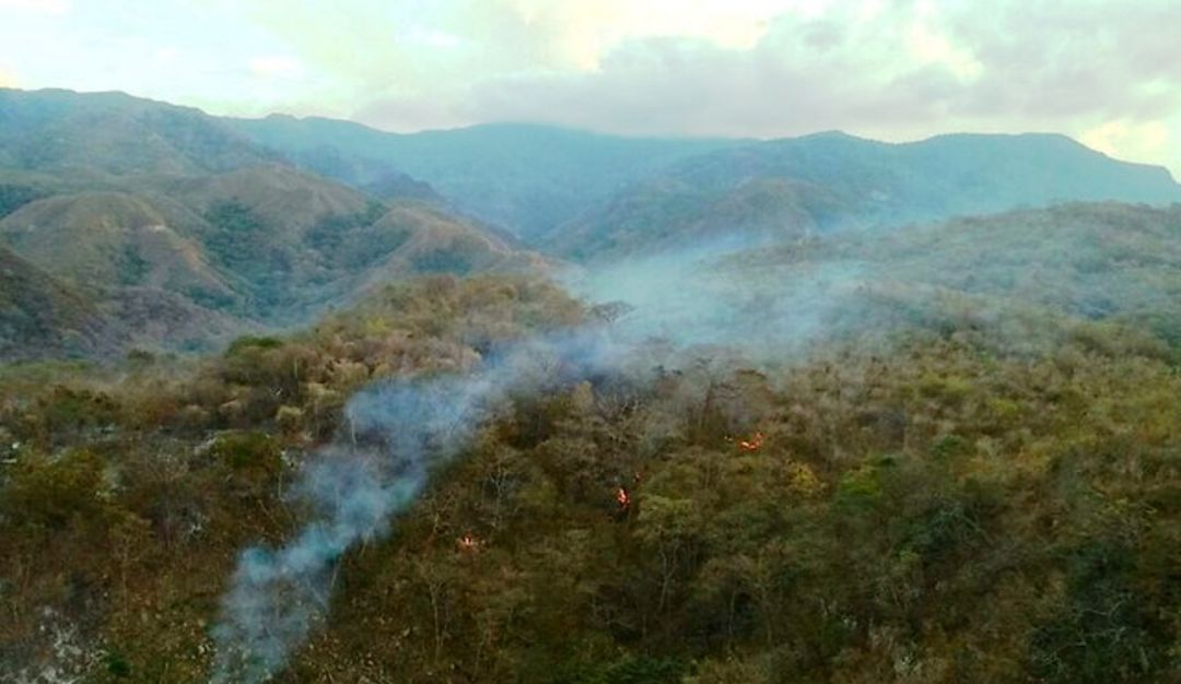 Alrededor de 16 incendios forestales han atendido los Bomberos en Cartagena: Alrededor de 16 incendios forestales han atendido los Bomberos en Cartagena