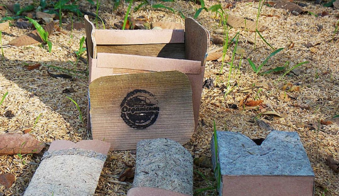 Empaques a base de residuos vegetales que sustituyen el plástico