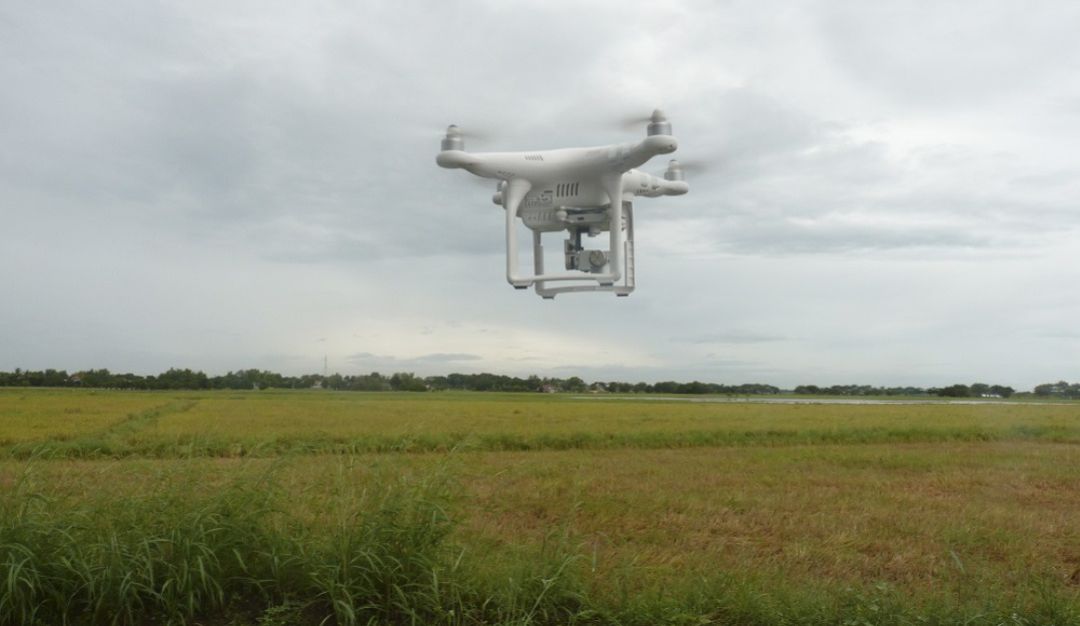 Tecnología digital para el campo: El agro, cada vez más de la mano con el mundo digital