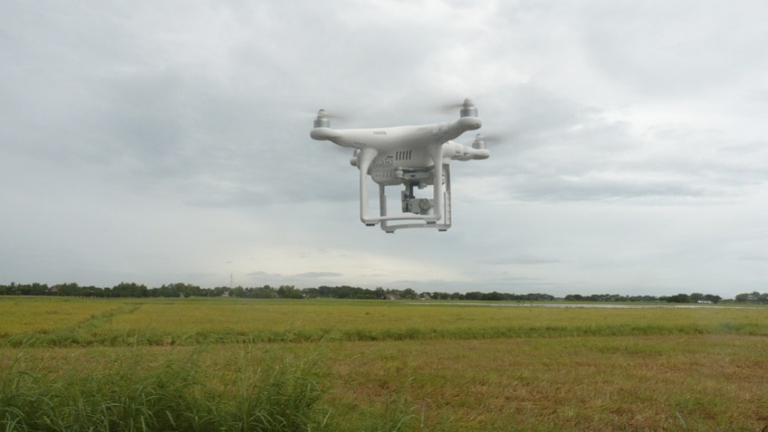 El agro, cada vez más de la mano con el mundo digital