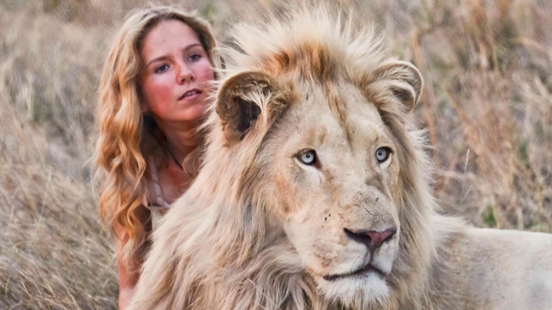 Mia y el León Blanco, una historia sobre quién es el verdadero depredador.