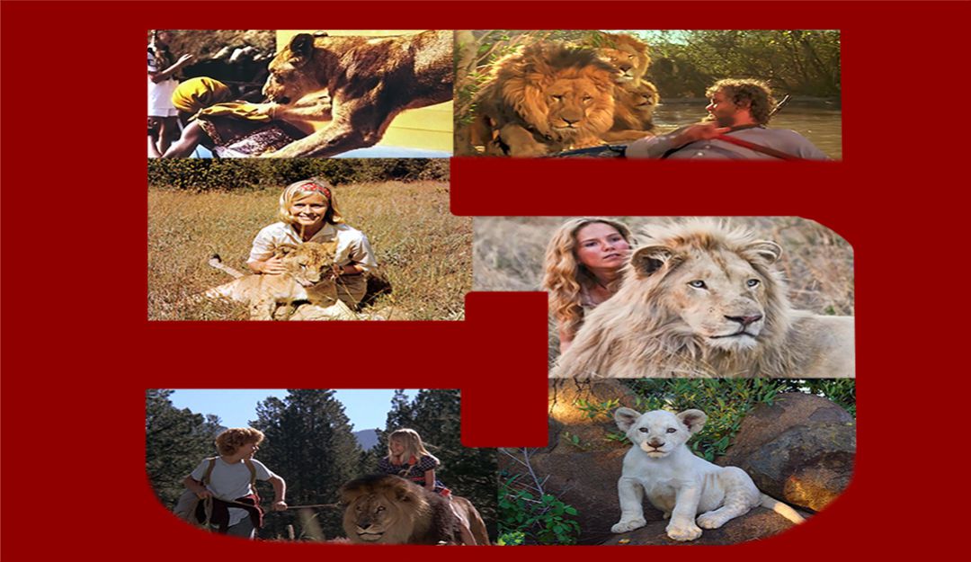 Top 5 de películas sobre leones de carne y hueso: Top 5 de películas sobre leones de carne y hueso