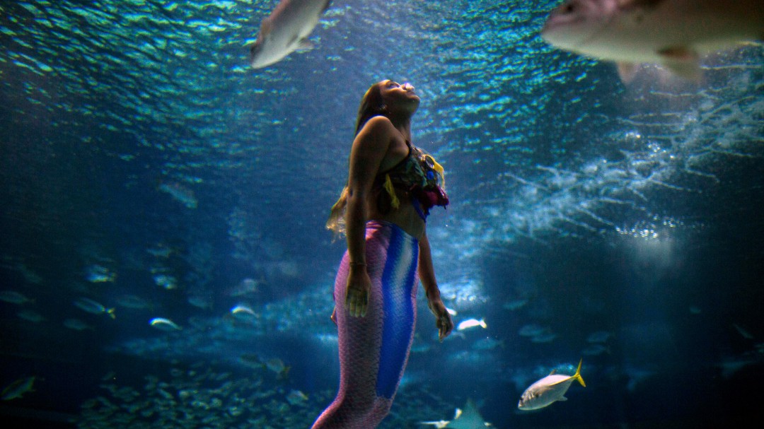 Una sirena brasileña lucha contra la contaminación de los mares