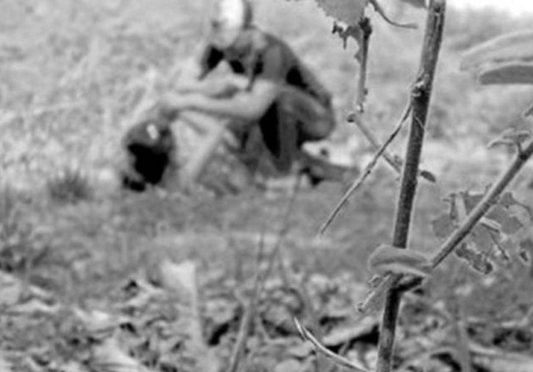 En el corregimiento de Arauca denuncian presunto caso de violación