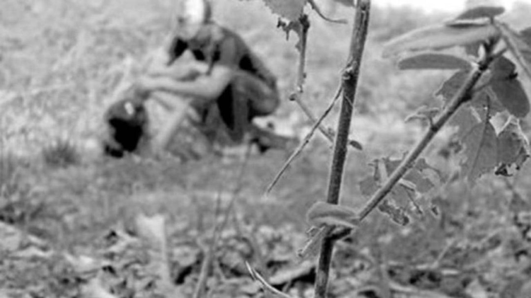 En el corregimiento de Arauca denuncian presunto caso de violación