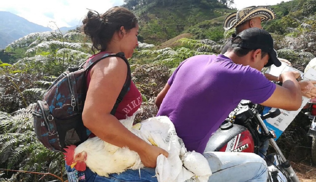 Desplazmianto en Hacarí en el Catatumbo de Norte de Santander
