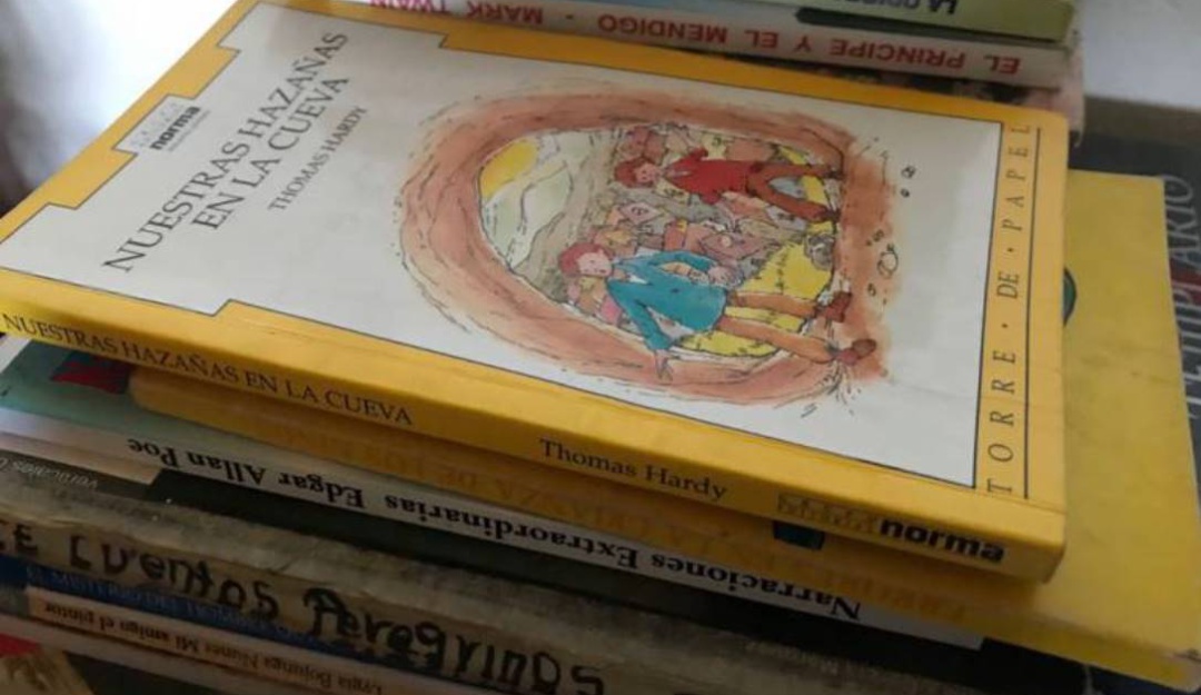 Biblioteca campesina: Recolectan libros para niños campesinos en Cómbita