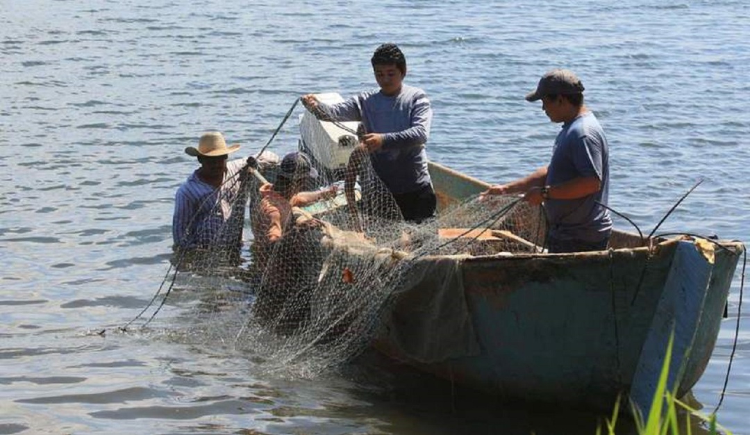 Pesca En Colombia La Pesca Artesanal Está En Crisis En El Pacífico Al Campo Caracol Radio 8194