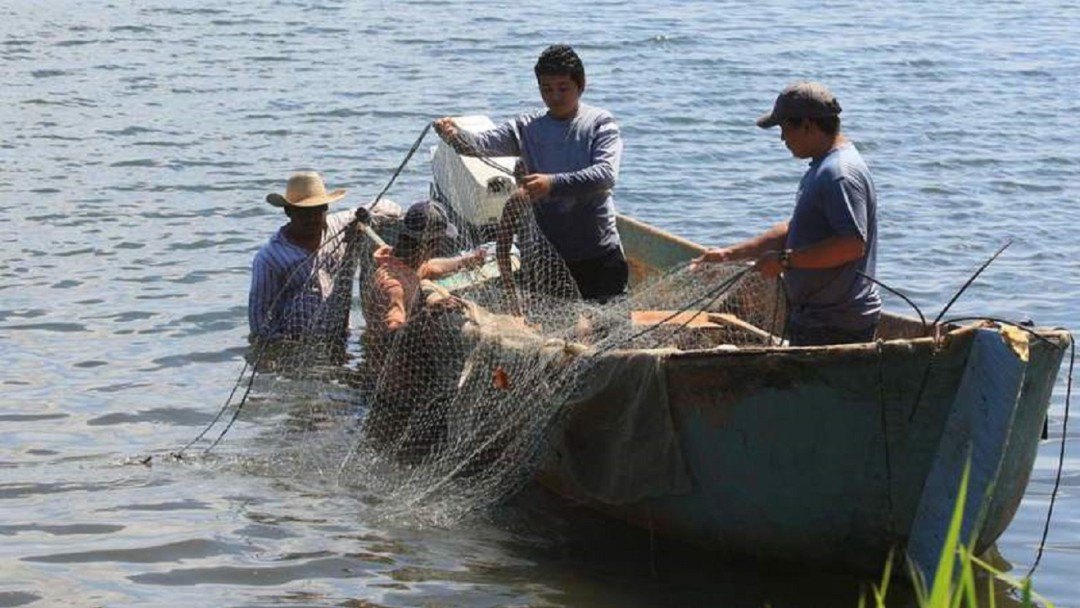 La pesca artesanal está en crisis en el Pacífico