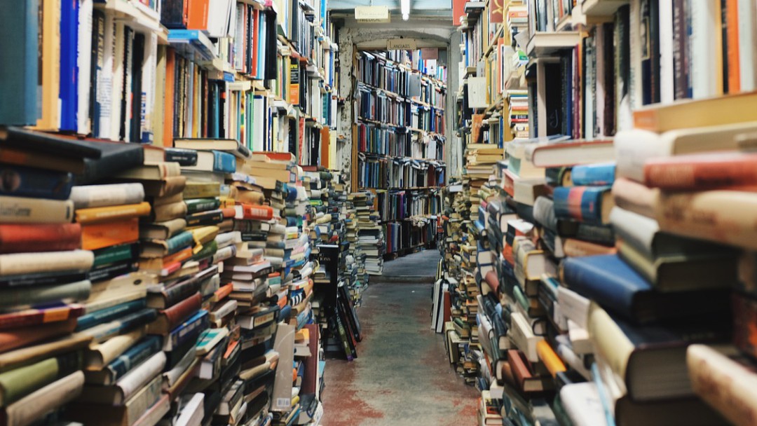 ¡Todo por la literatura! Vecinos hacen vaca para salvar una biblioteca