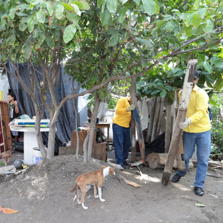 Organizaciones criminales están invadiendo tierras en Santa Marta