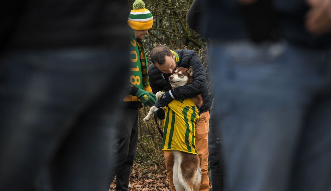 ¡Qué lindo! Perro salvó a su amo guiando la ambulancia.