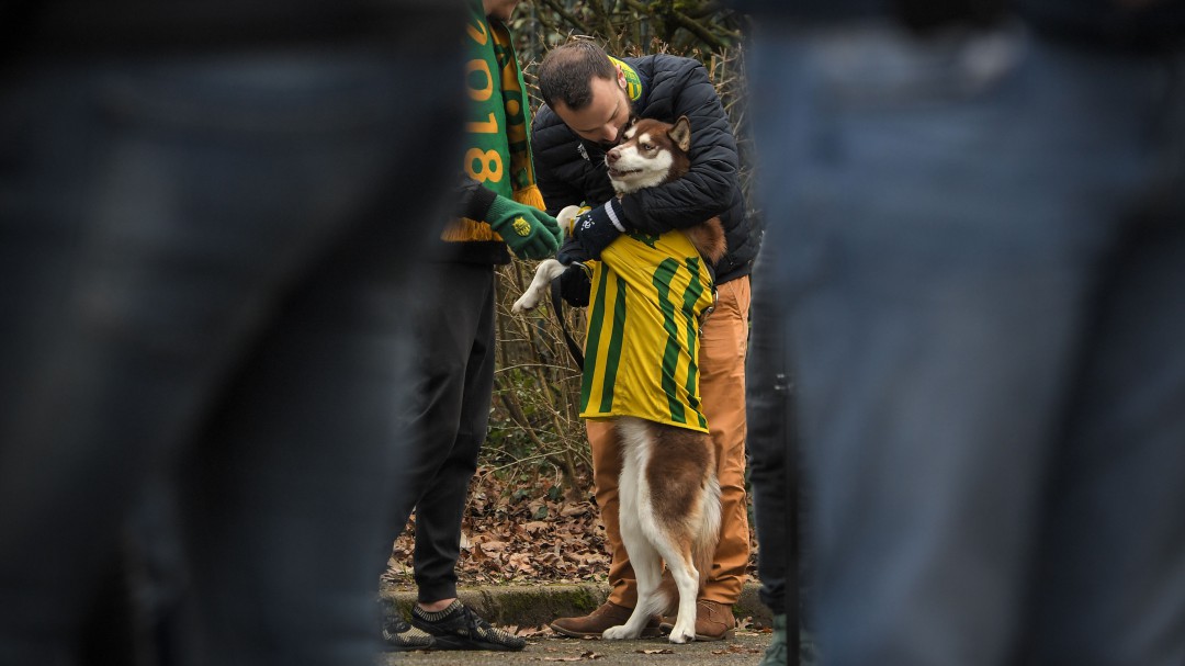 ¡Qué lindo! Perro salvó a su ama guiando la ambulancia