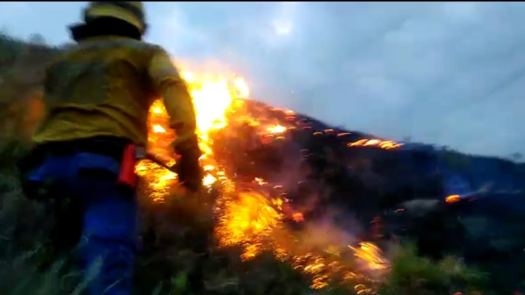 35 hectáreas de ha consumido incendio forestal en zona rural de Cali