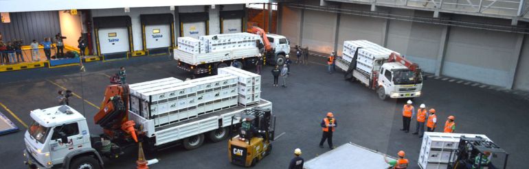 AEROPUERTOS, SERVICIOS AEROPORTUARIOS, COLOMBIA, SURÁMERICA,: Empresa peruana compró compañía paisa de servicios aeroportuarios