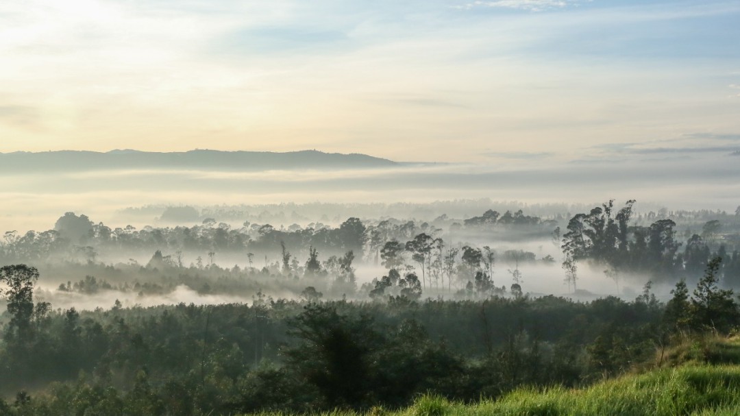 IDEAM alerta de heladas en 40 municipios de Cundinamarca