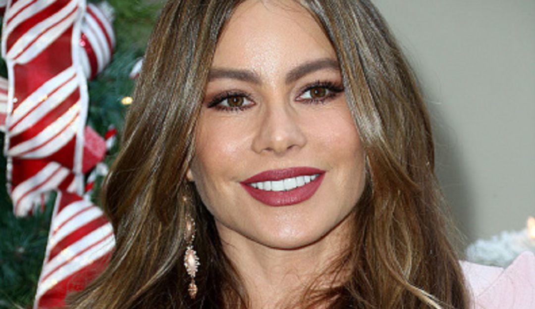 Sofia Vergara fue criticada: Sofía Vergara dejó callado a seguidor que le criticó la cola