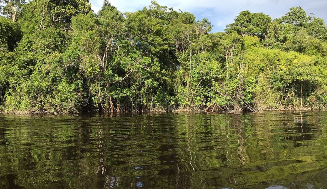 Complejo de humedales Lagos de Tarapoto