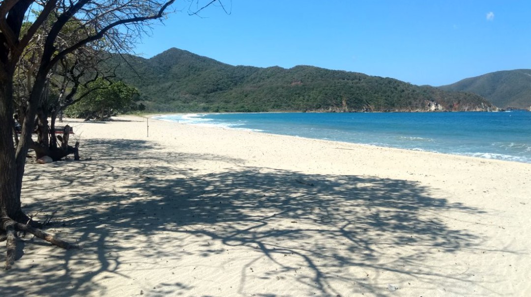 Así va el descanso del Parque Tayrona