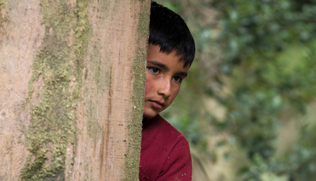El tamaño de las cosas, Festival de Cine: “El tamaño de las cosas” compite por el Oso de Cristal en Berlín