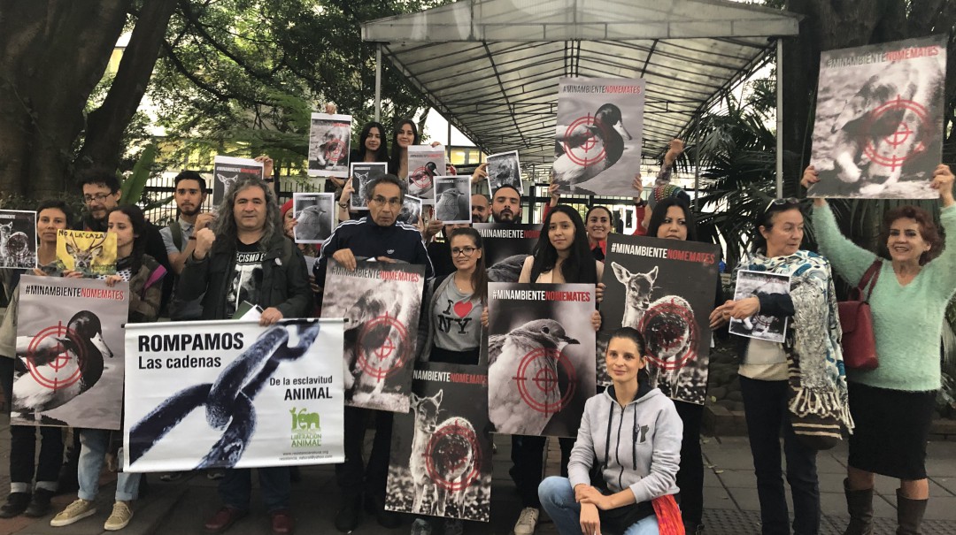 Reclaman a Minambiente por permitir comercialización del caimán aguja