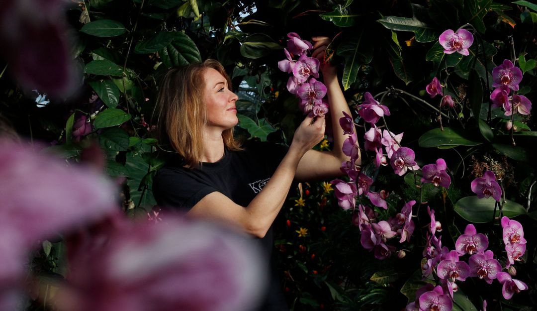 El cálido corazón de Colombia viaja a los Kew Gardens.