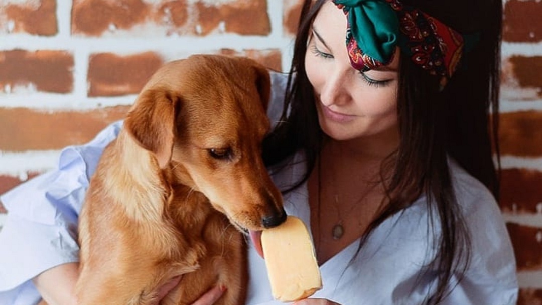 ¡Paletas para perro!