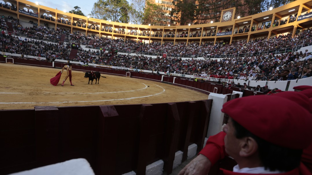 No se consumirán bebidas alcohólicas durante corridas de toros en Bogotá
