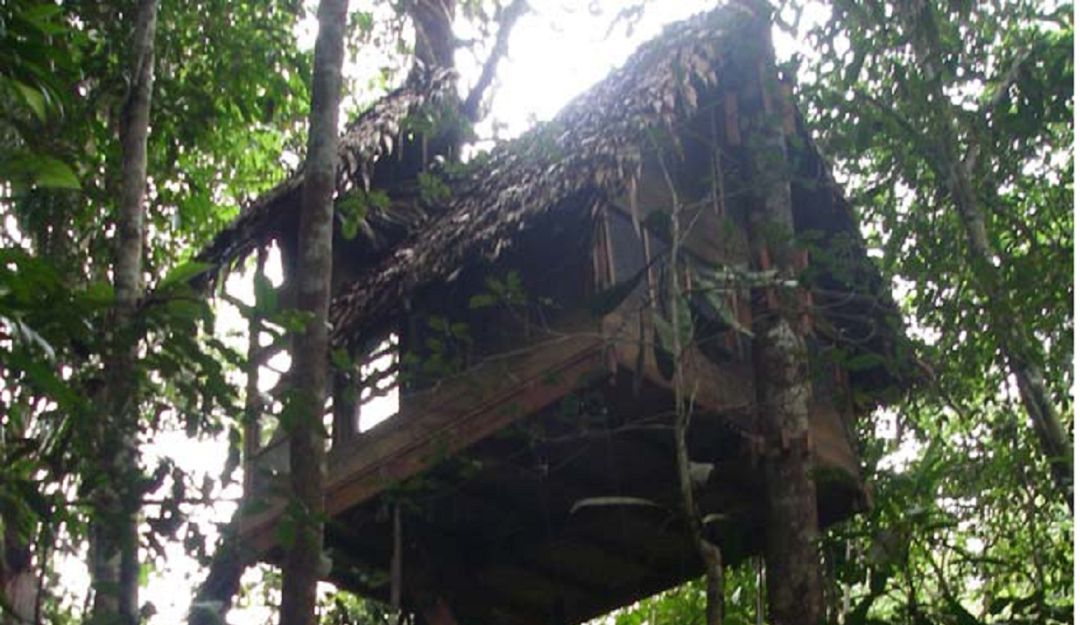 Ecoturismo y Turismo de Aventura desde el Amazonas.