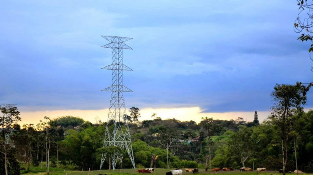 43.469 quindianos podrían afectarse con posible desmonte subsidios energía