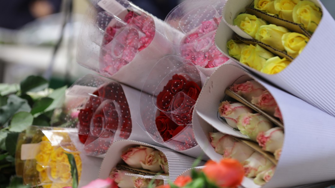 Cerca de 2 millones de flores de Boyacá en EE.UU para San Valetín