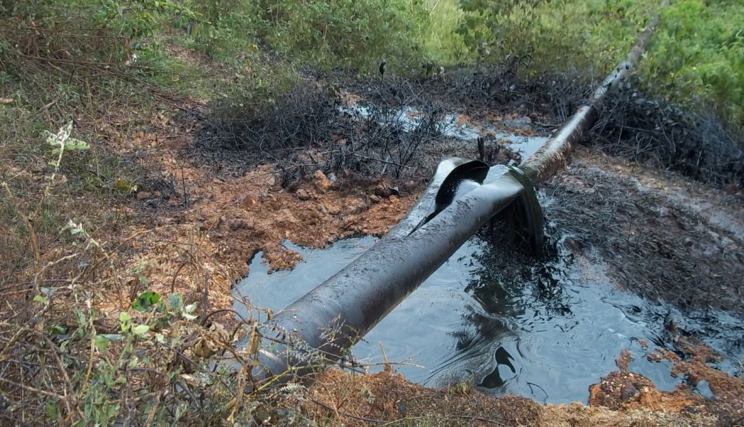 Caño Limón Coveñas: Más de 341.000 accionistas de Ecopetrol afectados por atentados del ELN