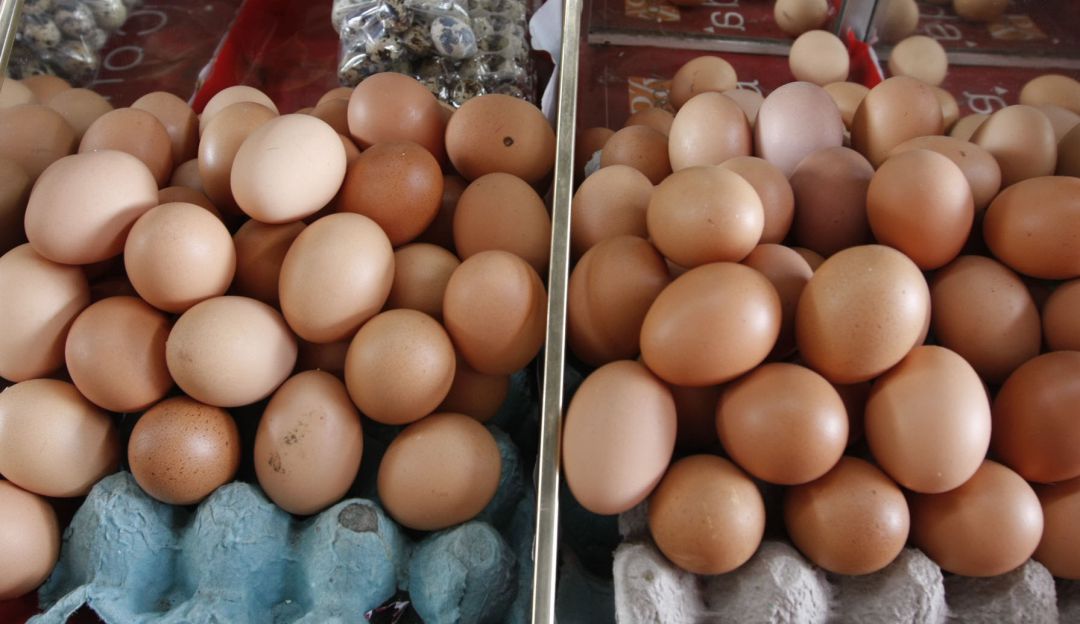 Consumo de huevo en Colombia: Los colombianos comen 293 huevos cada año