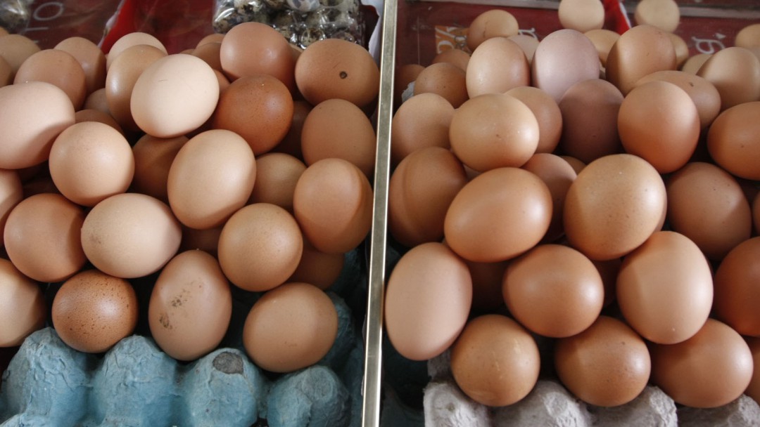 Los colombianos comen 293 huevos cada año